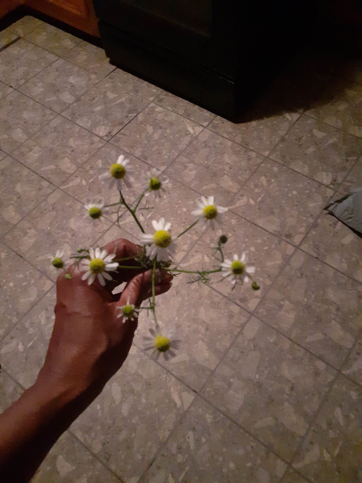 Gentle Blossom Baby Powder