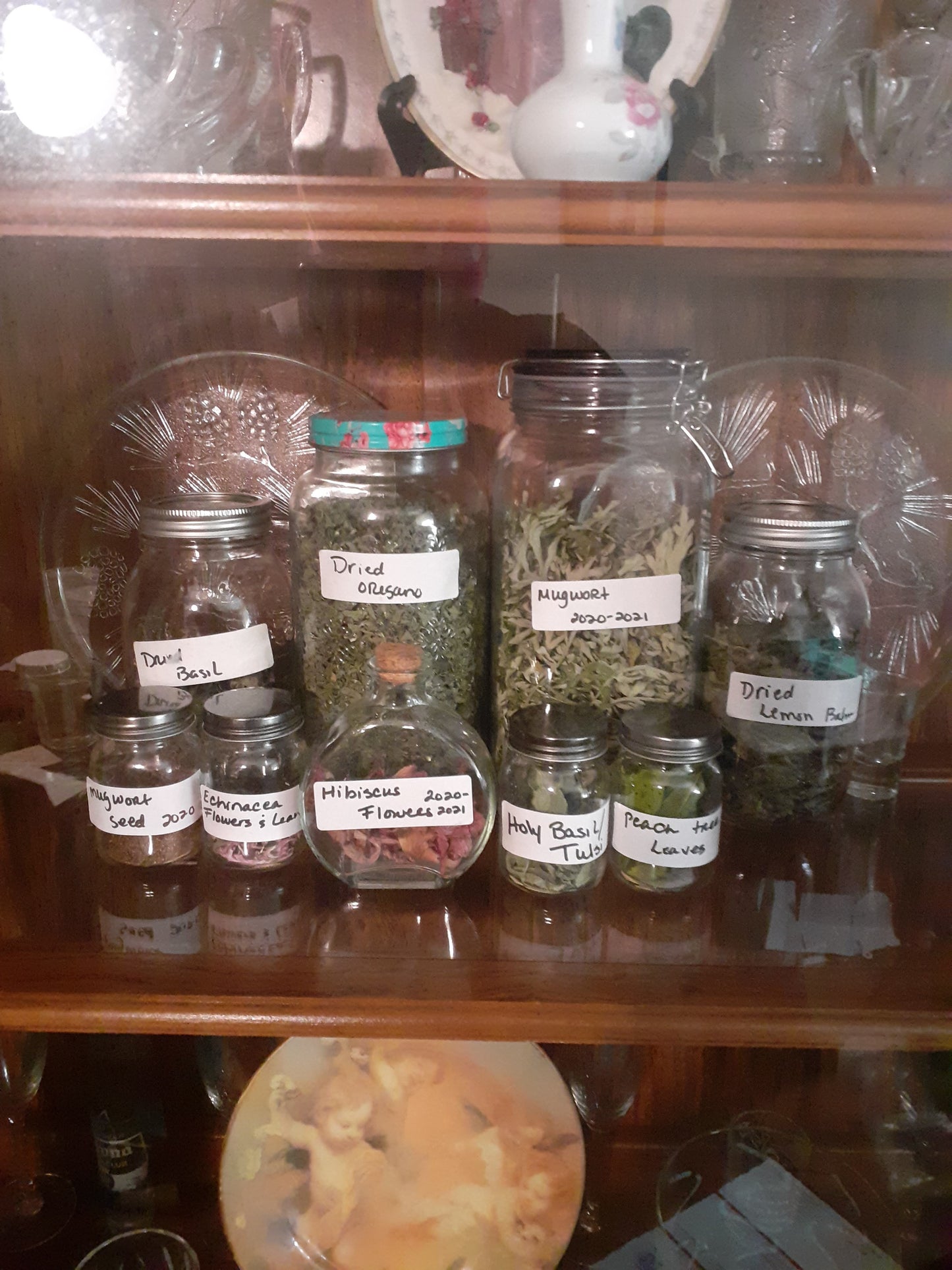Mugwort Seed (Artemisia vulgaris) — Sweet Martha’s Family Farmacy