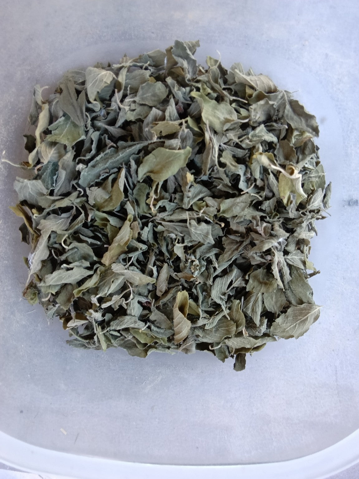 Dried African blue basil