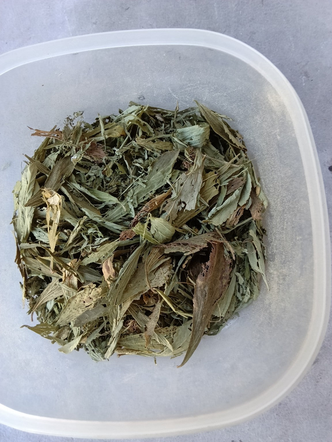 Dried stevia